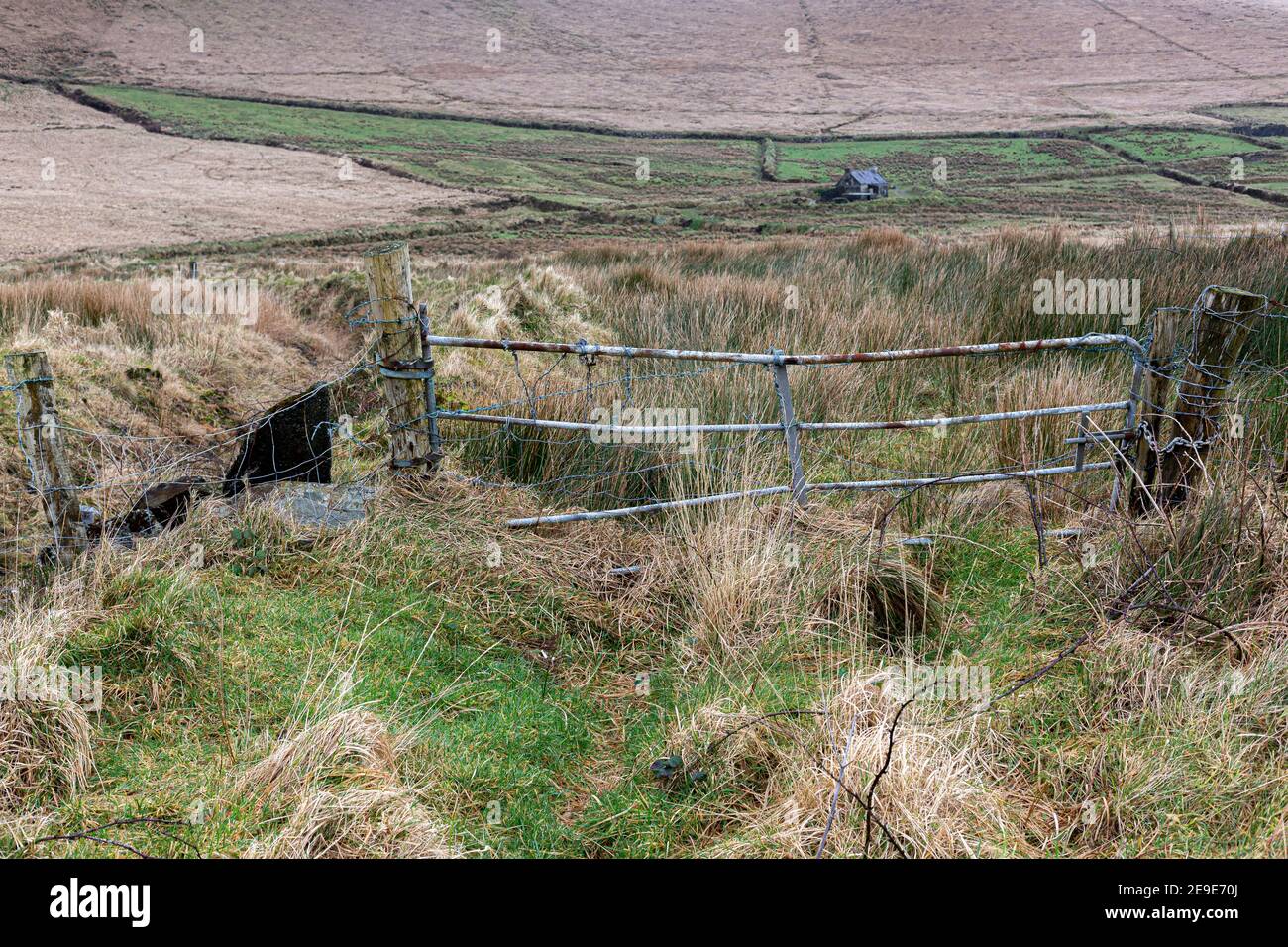 Farm Gate am Ende der Landstraße in der Grafschaft Kerry Irland Stockfoto