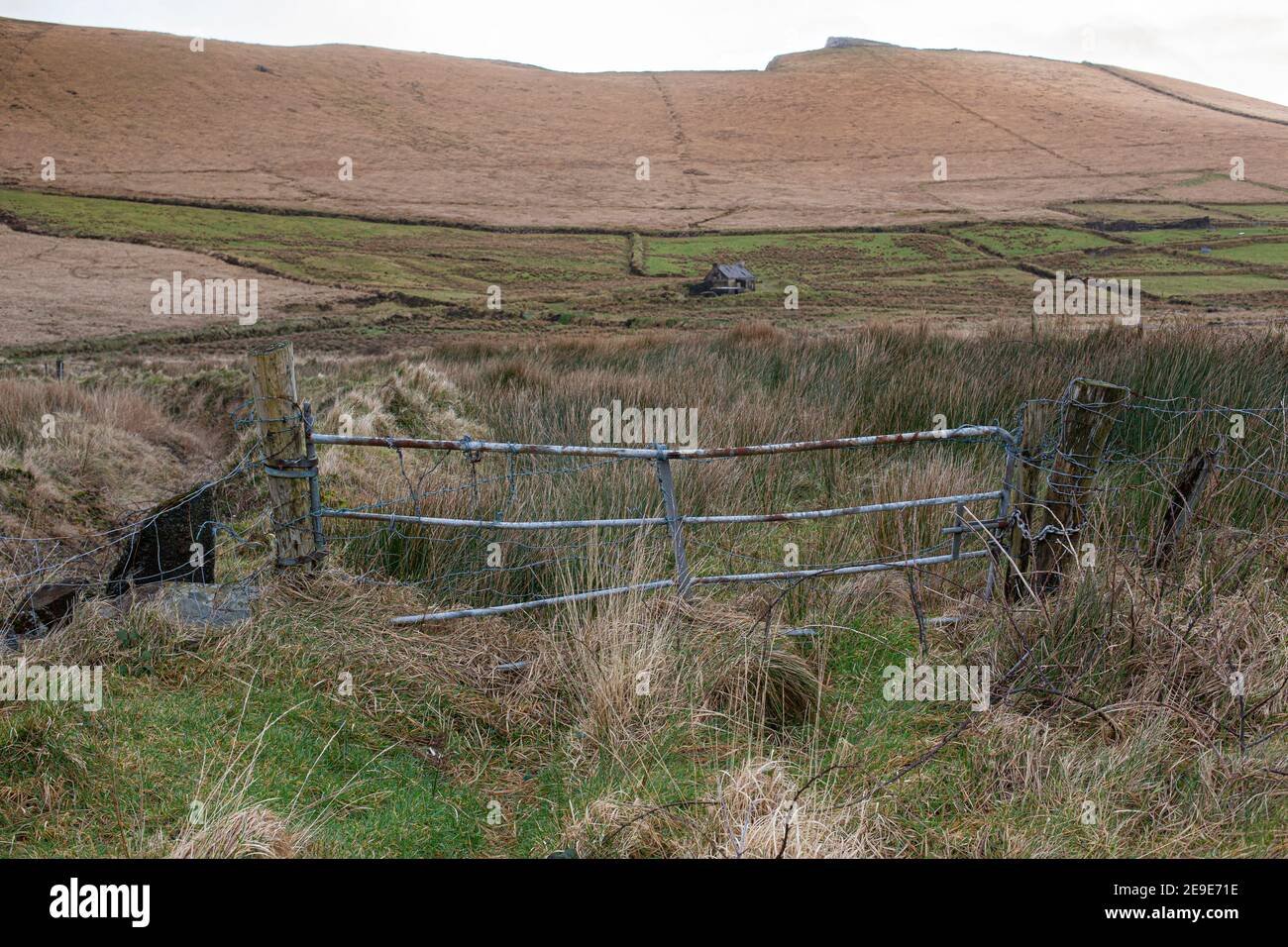 Farm Gate am Ende der Landstraße in der Grafschaft Kerry Irland Stockfoto