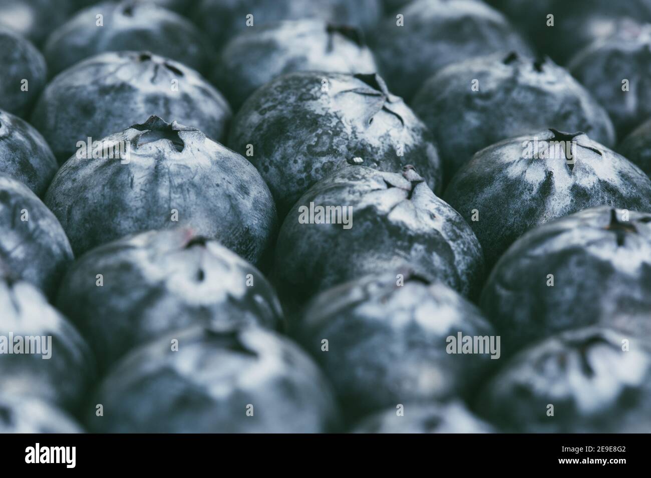 Ein Vollformat Food Fruit Hintergrund einer Nahaufnahme von frischen, reifen Heidelbeeren zusammen mit Copy-Raum verpackt Stockfoto