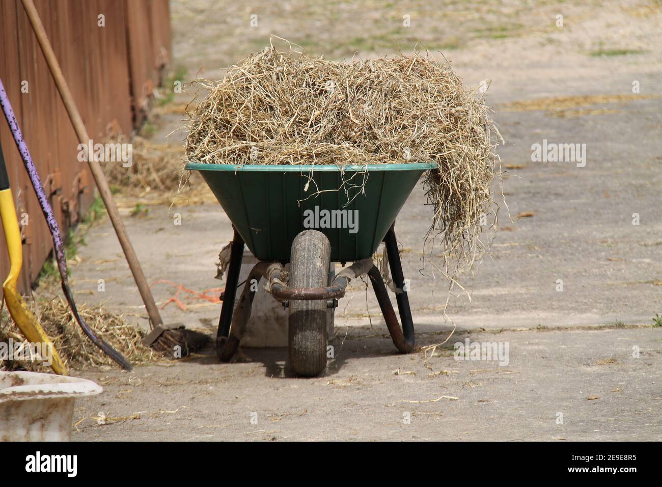 Eine Schubkarre, die zum Ausmucken eines Pferdestalles verwendet wird. Stockfoto