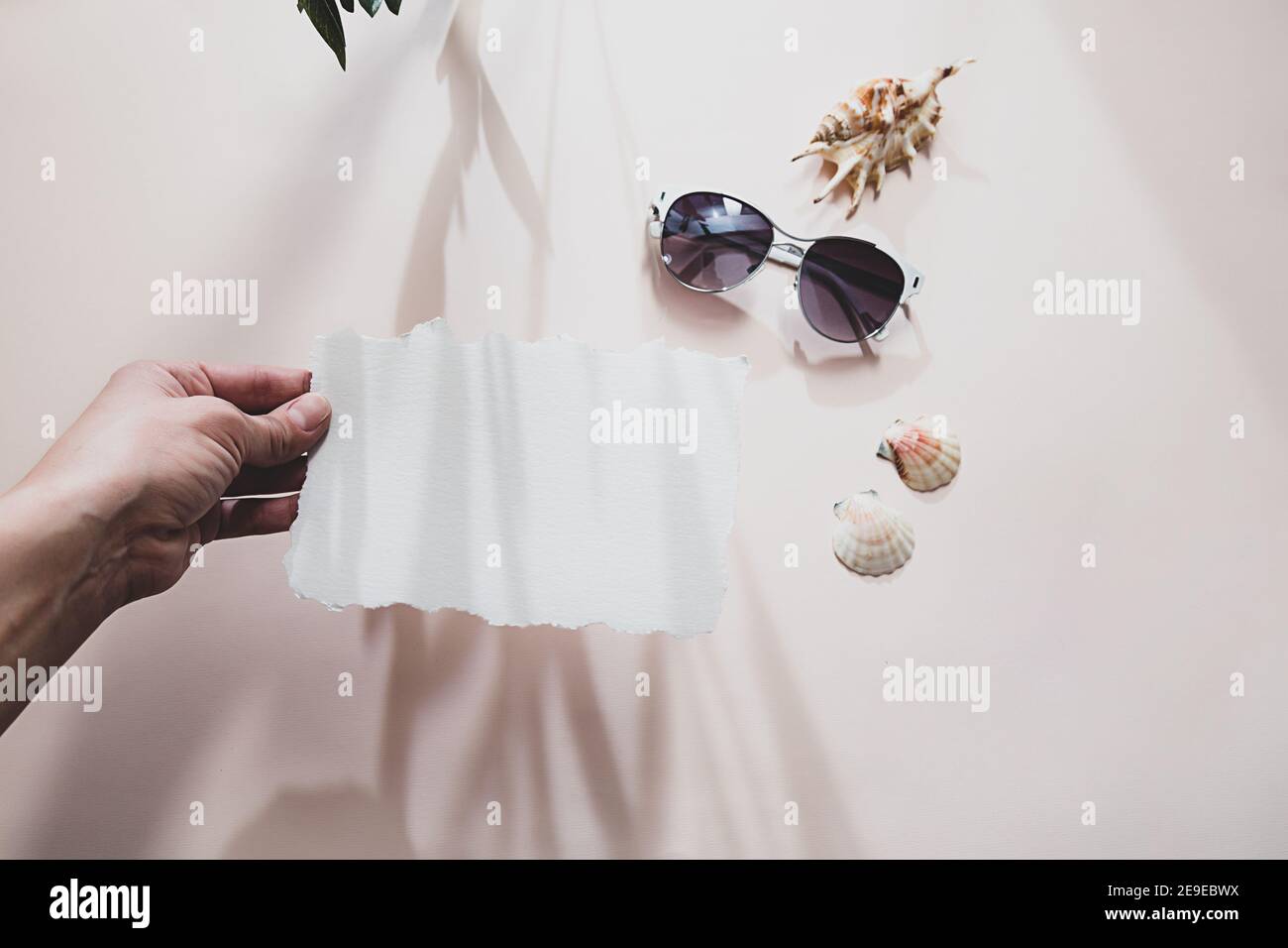 Modernes Postkartenlayout. Die Hand hält ein weißes Blatt Papier. Sommer Stillleben Muscheln, Sonnenbrille, lange Schatten eines Olivenzweiges auf einem weichen rosa Bac Stockfoto