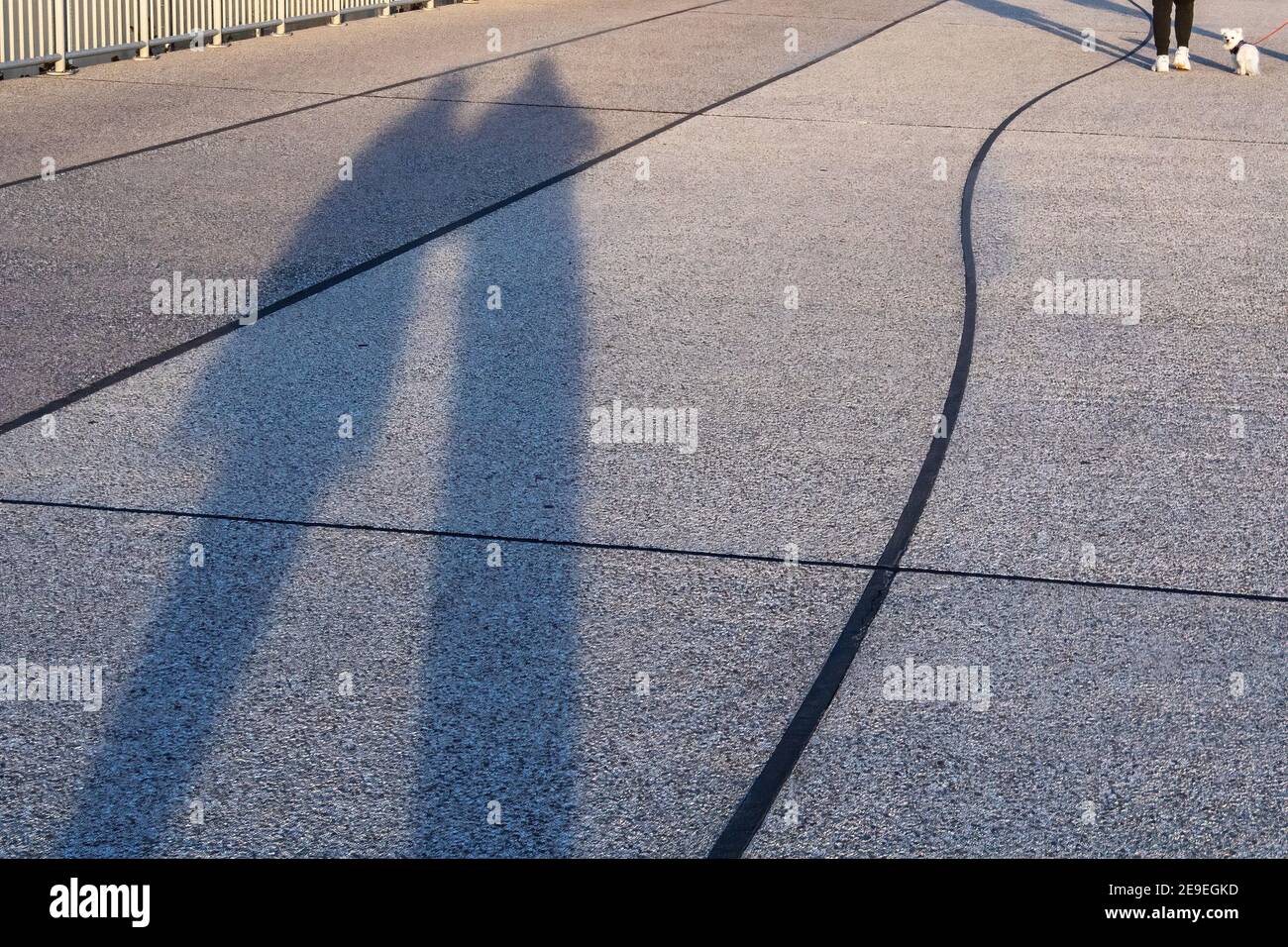 Kleiner Hund, der auf Menschen zurückblickt, die lange Schatten werfen Stockfoto