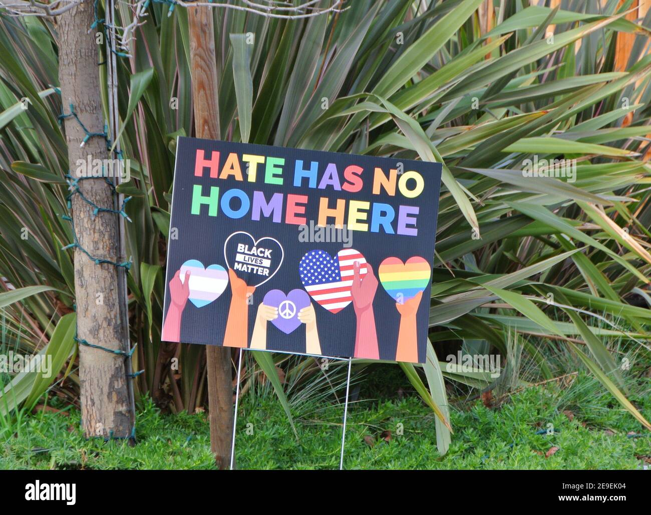 Zuhause in novato kalifornien usa Proteste Hass während Black Lives Vorführungen Stockfoto