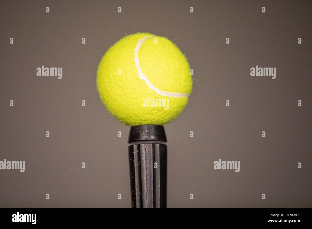 Ein eleganter grüner Tennisball, der in einem schwarzen Stock fixiert ist. Tennis Ball balancieren i Stockfoto
