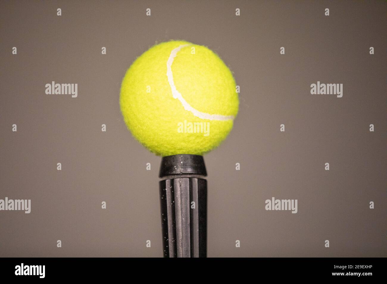 Ein eleganter grüner Tennisball, der in einem schwarzen Stock fixiert ist. Tennisball ausbalancieren Stockfoto