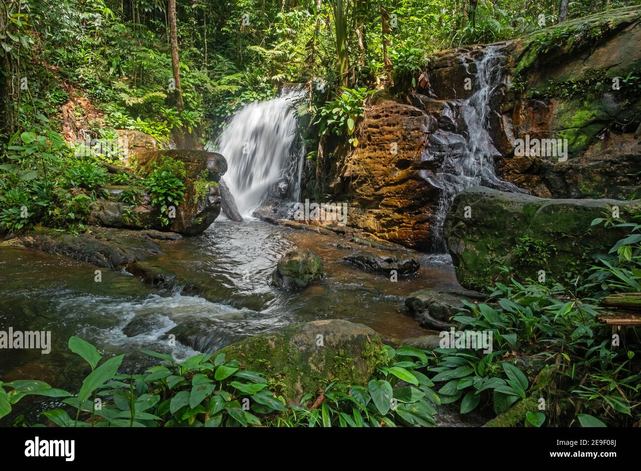 Cachoeira da Onça, Wasserfall im Dschungel / Regenwald / Regenwald bei Presidente Figueiredo, Amazonas State, Brasilien Stockfoto
