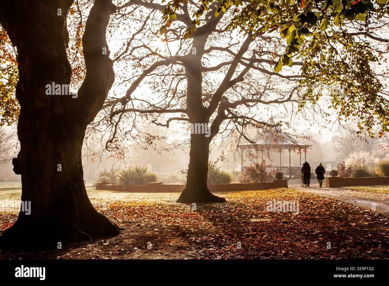 Herbstansicht durch die nebligen Herbstbäume zu einem schönen Bandstand und Paar zu Fuß Stockfoto
