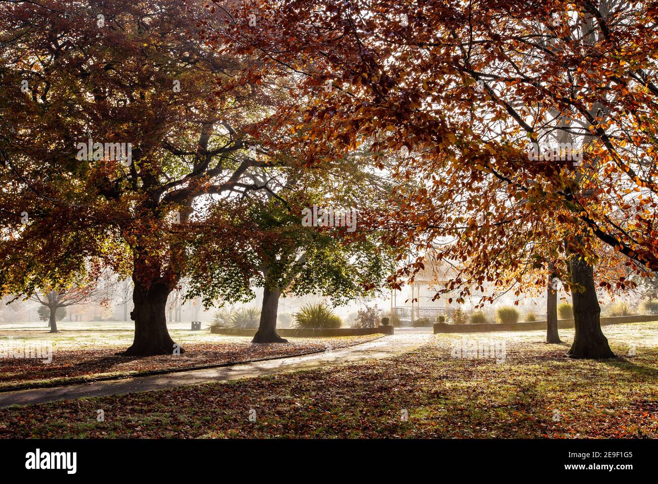 Herbstansicht durch die nebligen Herbstbäume zu einem schönen Bandstand Stockfoto