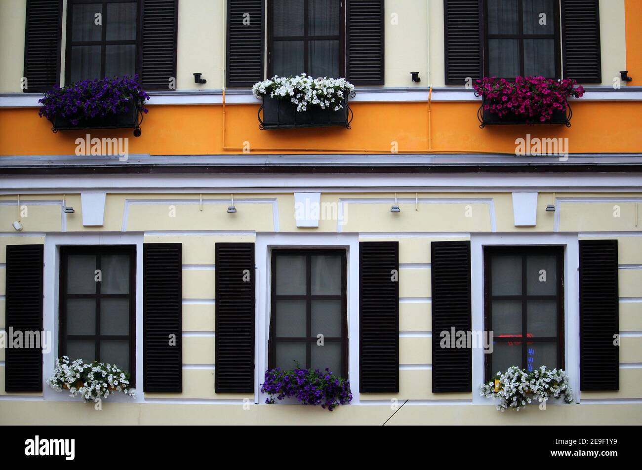 Blumen auf EINEM Fenster mit offenen Fensterläden an der Gebäudefassade Stockfoto