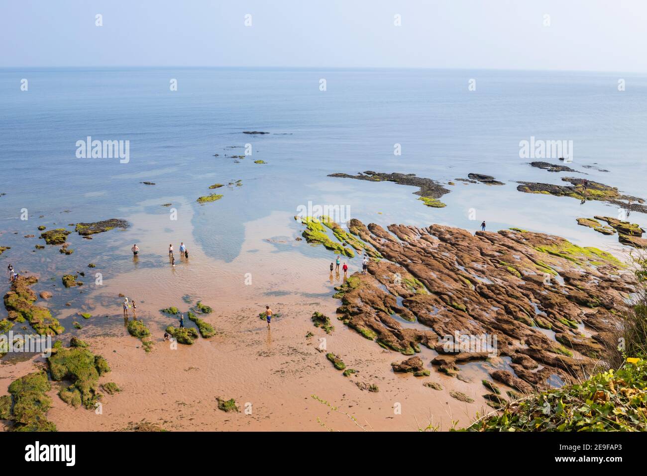 Familien paddeln bei Ebbe in Felsenpools am Sandstrand von Sidmouth, einer Küstenstadt in Devon, die zum Weltkulturerbe der Jurassic Coast gehört Stockfoto