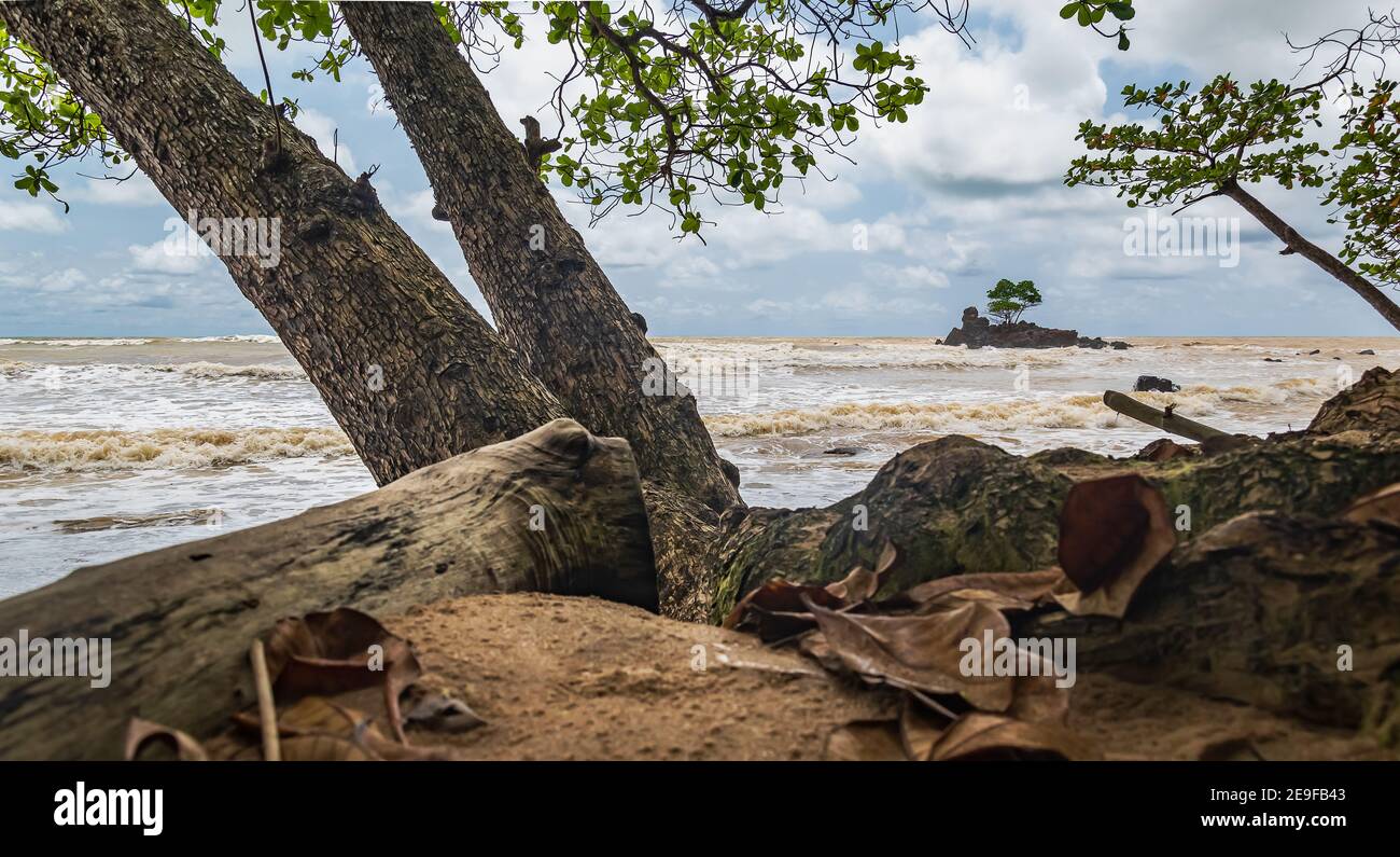 Afrika Landschaft von Dschungel zu Meer in Axim Ghana West Afrika Stockfoto