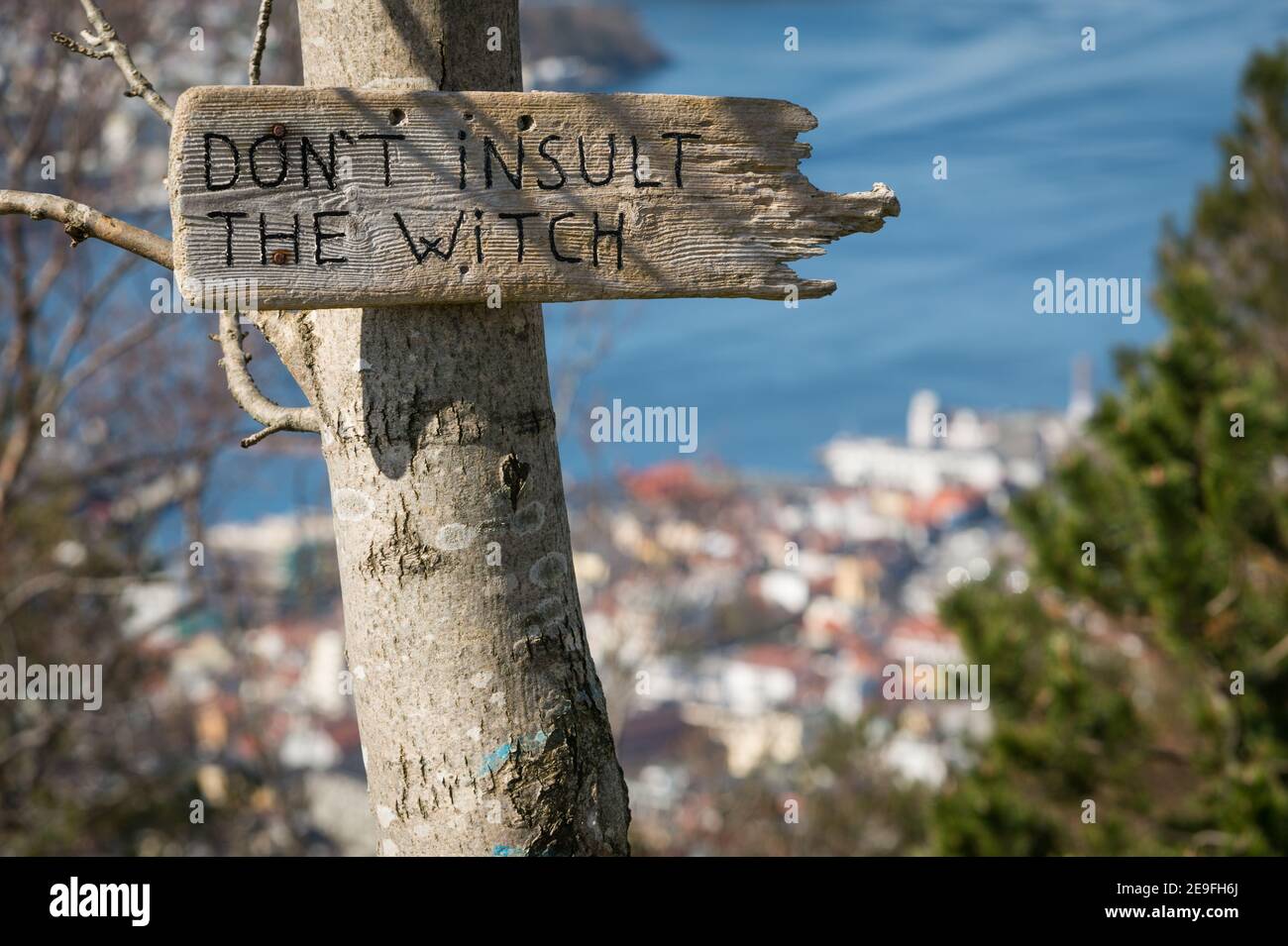Seltsames Schild auf einem Baum am Berg Fløyen, Bergen, Norwegen. Stockfoto