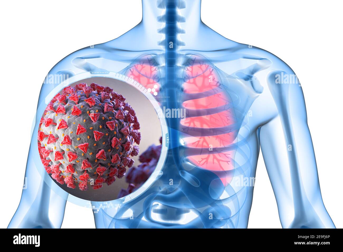 Illustration des Coronavirus ist ein Erreger, der die Atemwege angreift. 3D Abbildung Stockfoto