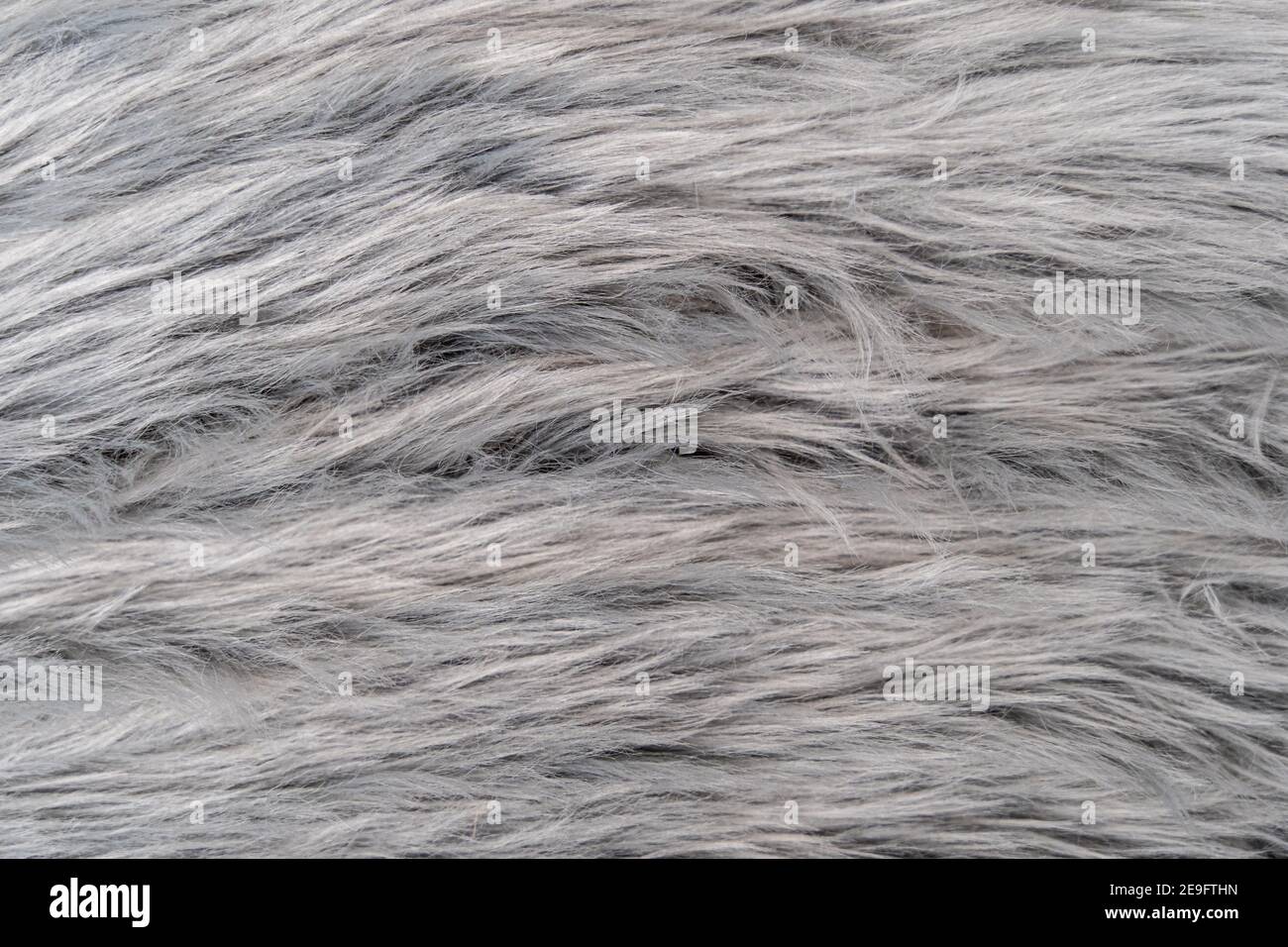 Grauer Pelzteppich Textur eines Textils mit langen Fasern. Natürliche Struktur einer weichen Stoff Dekoration Oberfläche. Flauschiges Detail, das wie Tierhaare aussieht Stockfoto