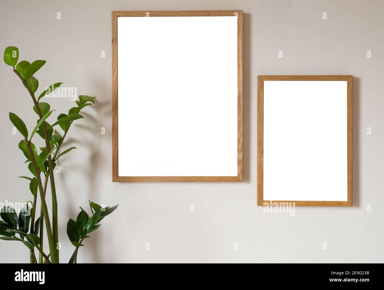 Interior Design des Wohnzimmers mit zwei braunen Mock up Fotorahmen auf moderne Wand, leere Leinwand mit schönen Pflanzen elegante persönliche Accessoires. Kopie Stockfoto