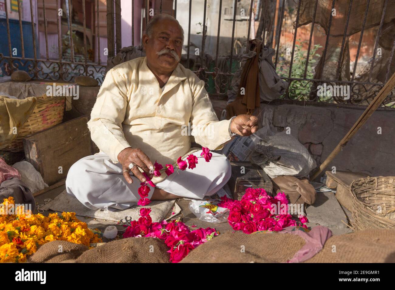 Indien Jaipur Blumenhändler, Der Girlanden Aus Blumen Macht Stockfoto
