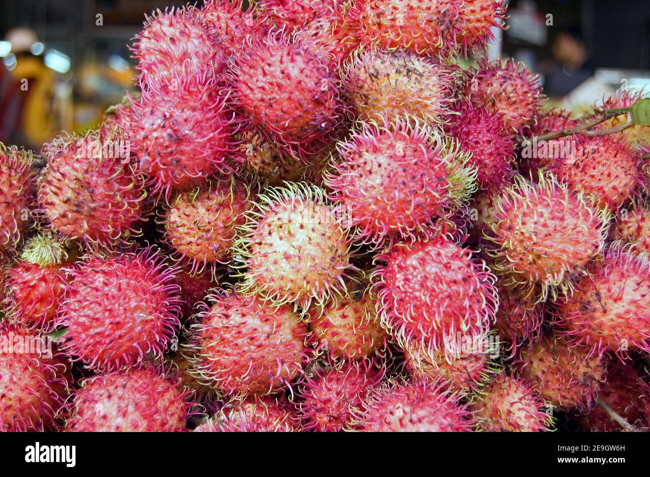 Ein Haufen reifer Rambutanfrüchte - lateinischer Name nephelium lappaceum - auf einem Marktstand in Kambodscha. Stockfoto