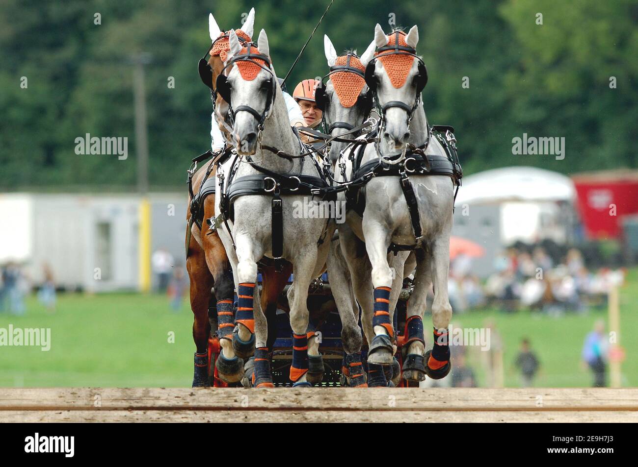 Weltreiterspiele in Aachen Stockfoto