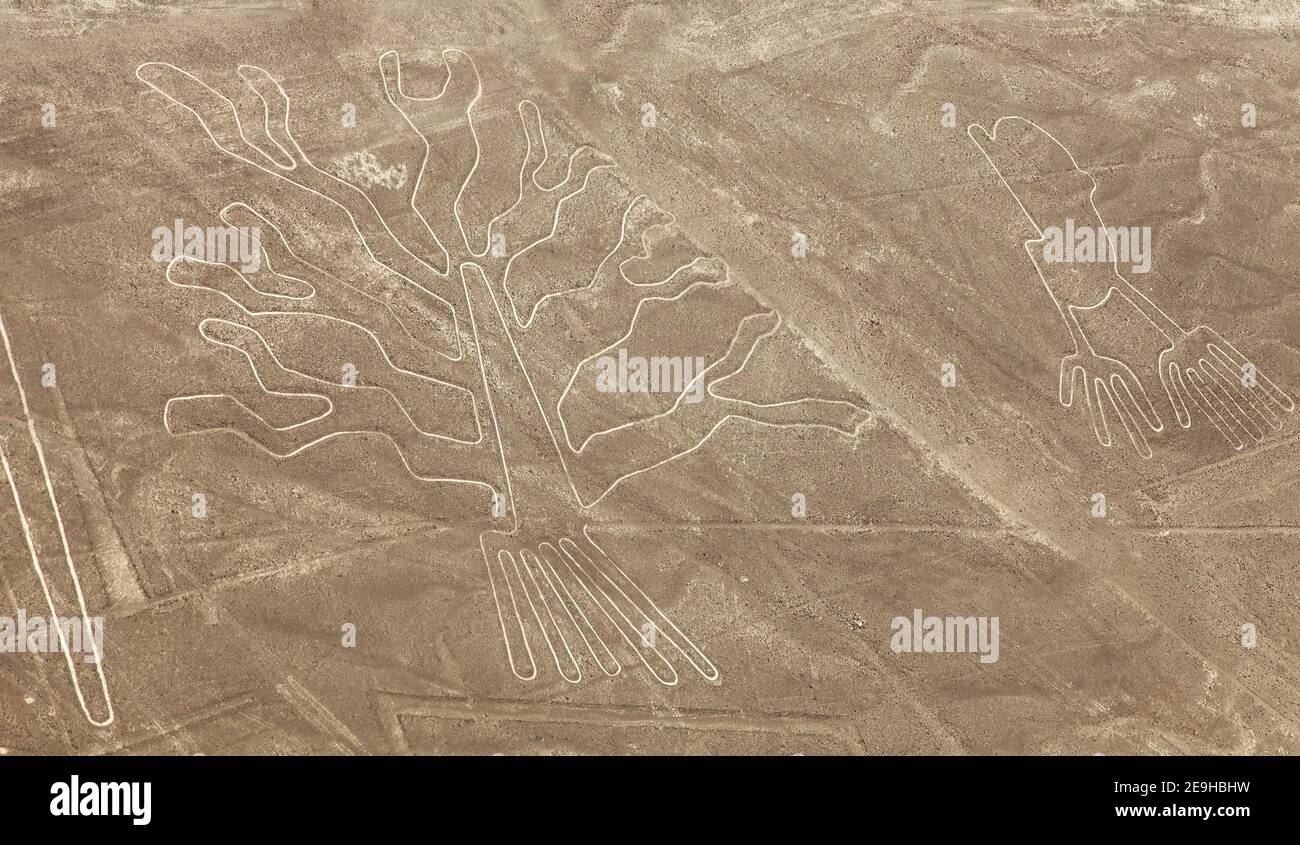Baum und Hände Geoglyphen, Nazca oder Nasca geheimnisvolle Linien und Geoglyphen Luftbild, Wahrzeichen in Peru Stockfoto