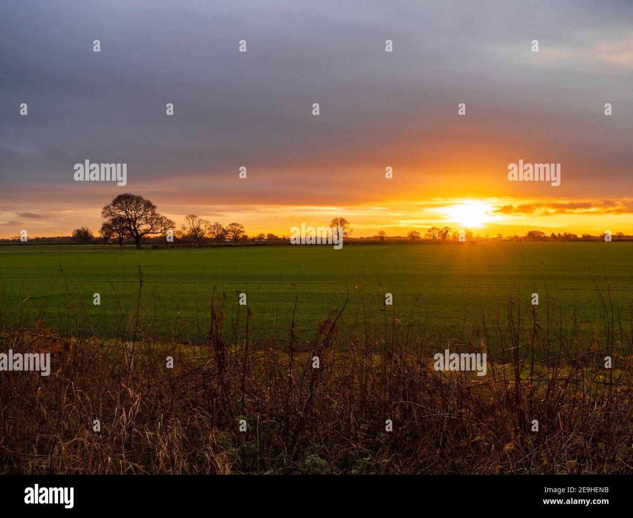 Orangefarbener Sonnenuntergang hinter einem offenen grünen Kulturfeld in Bishopthorpe, North Yorkshire, England Stockfoto
