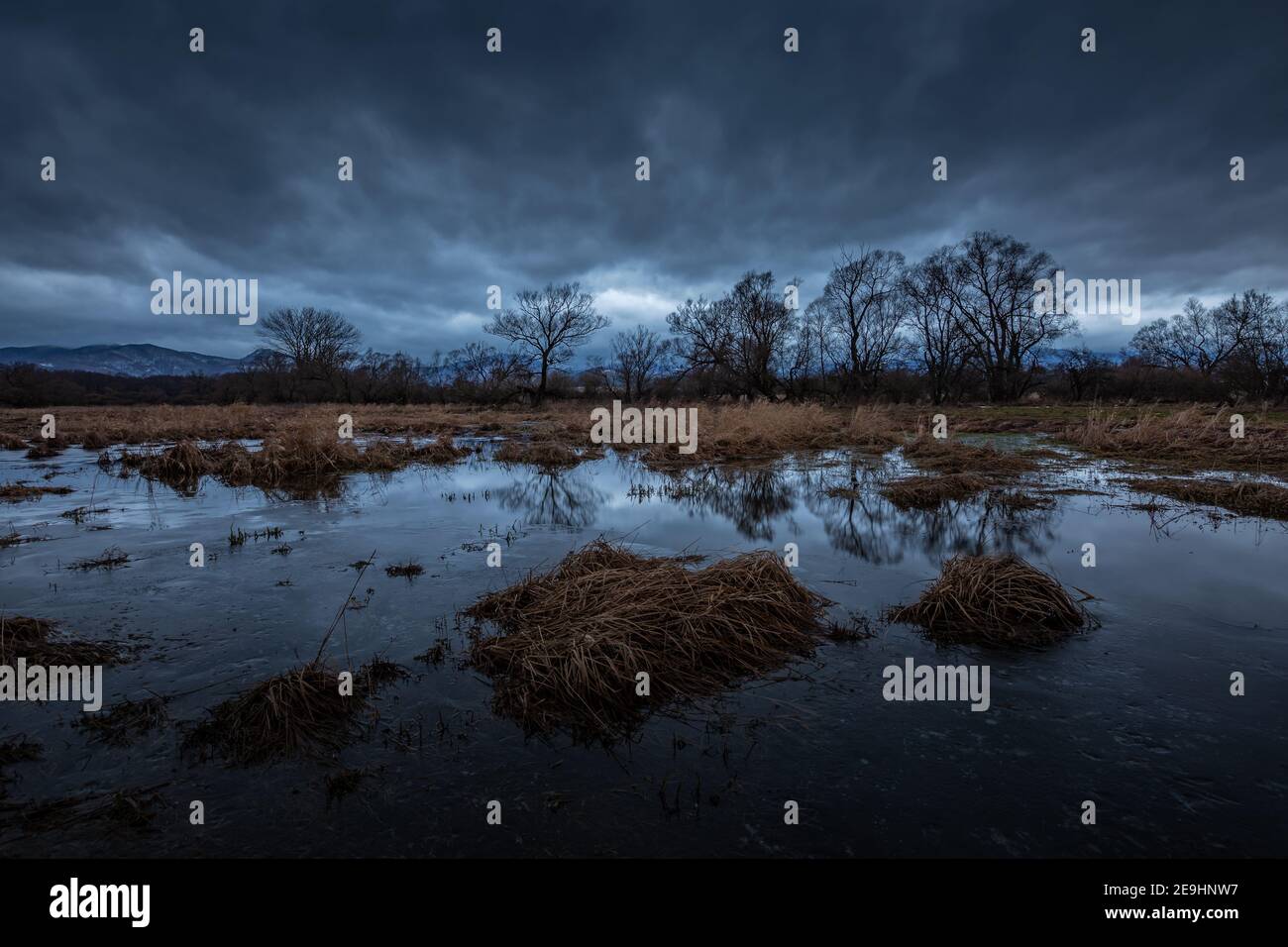 Auen des Flusses Turiec in der Nordslowakei. Stockfoto