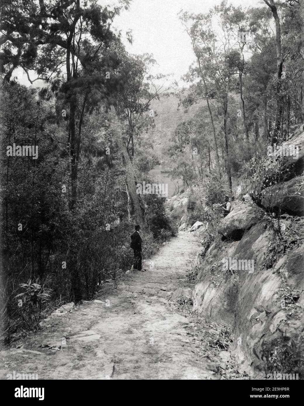 Foto des späten 19th. Jahrhunderts/1900 - Kuring-Gai Chase, Berowra, NSW, Australien Stockfoto