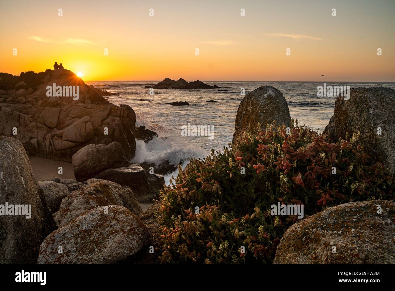 Die Brandung stürzt gegen die Felsen ab, wenn die Sonne am Ufer der kalifornischen Monterey Bay untergeht; eine Gruppe von Ballonmilchvetch akzentuiert die Stirn Stockfoto