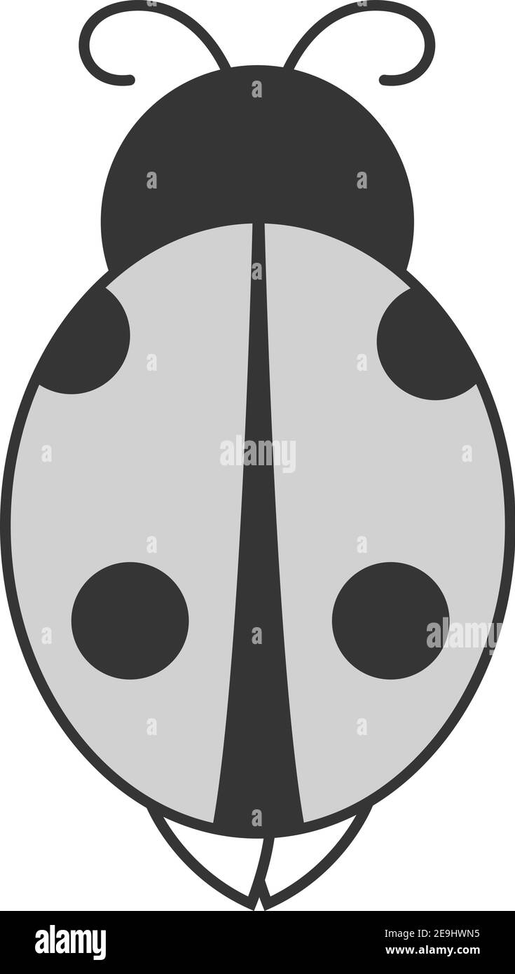 Grauer Marienkäfer, Illustration, Vektor auf weißem Hintergrund. Stock Vektor
