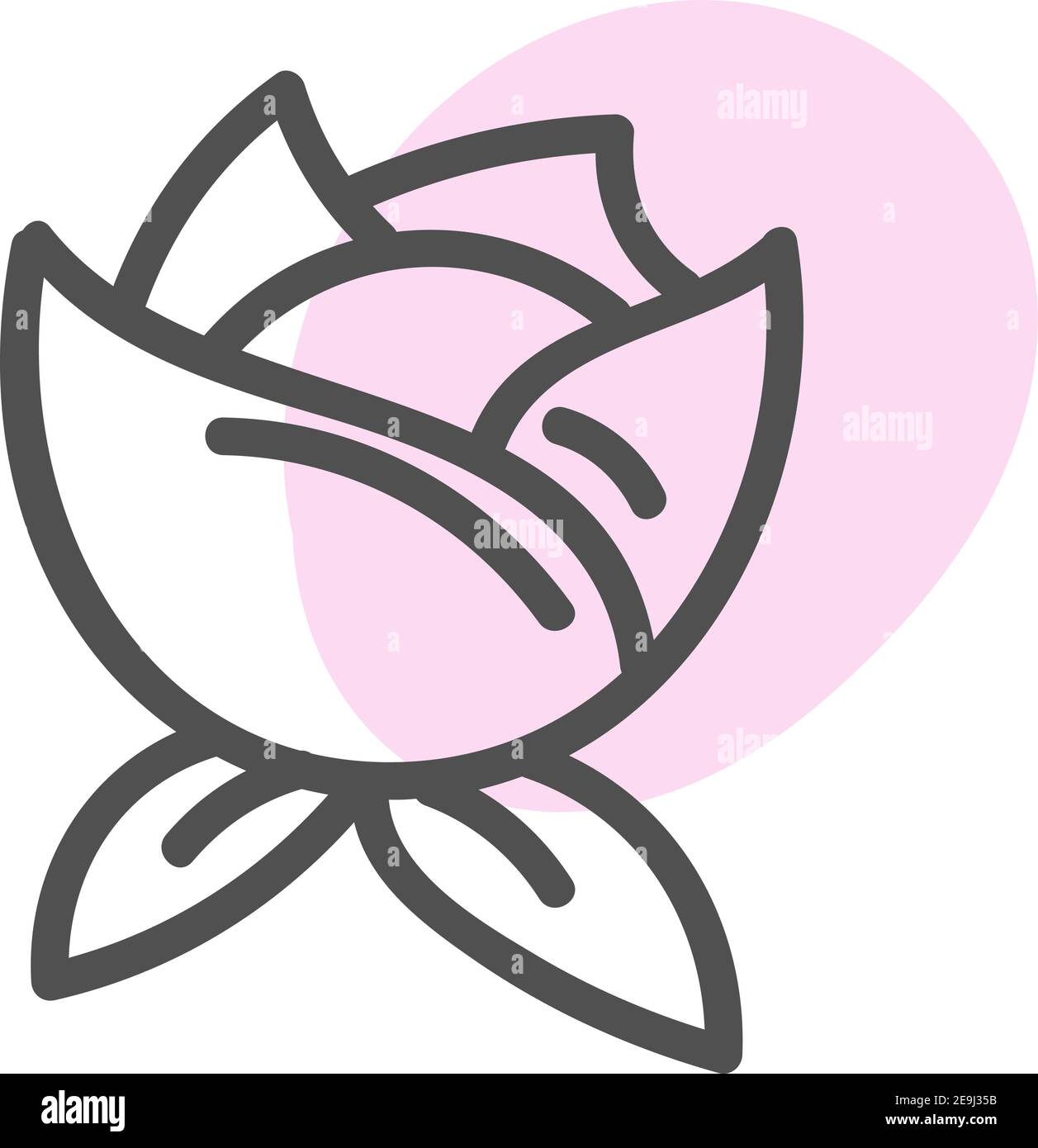 Rosa Blüte, Illustration, Vektor auf weißem Hintergrund. Stock Vektor