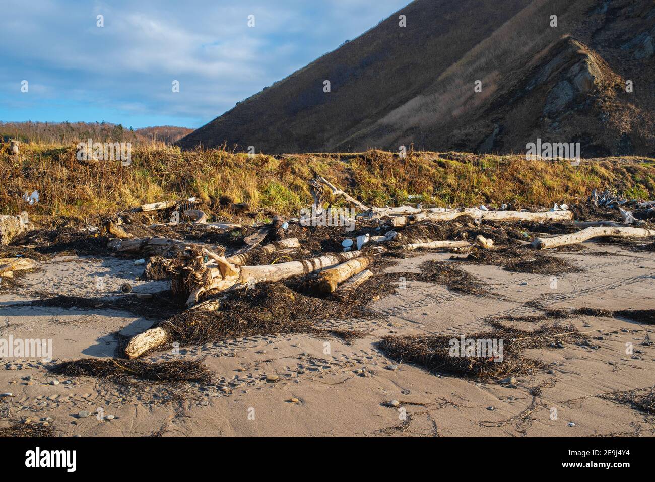 Plastik und Abfall verschmutzen den Strand. Alte Bäume und Müll wuschen nach dem Sturm an Land. Verschmutzung durch Plastik. Stockfoto Plastik und Abfall verschmutzen den Strand. Alte Bäume und Müll wuschen nach dem Sturm an Land. Verschmutzung durch Plastik. Stockfoto