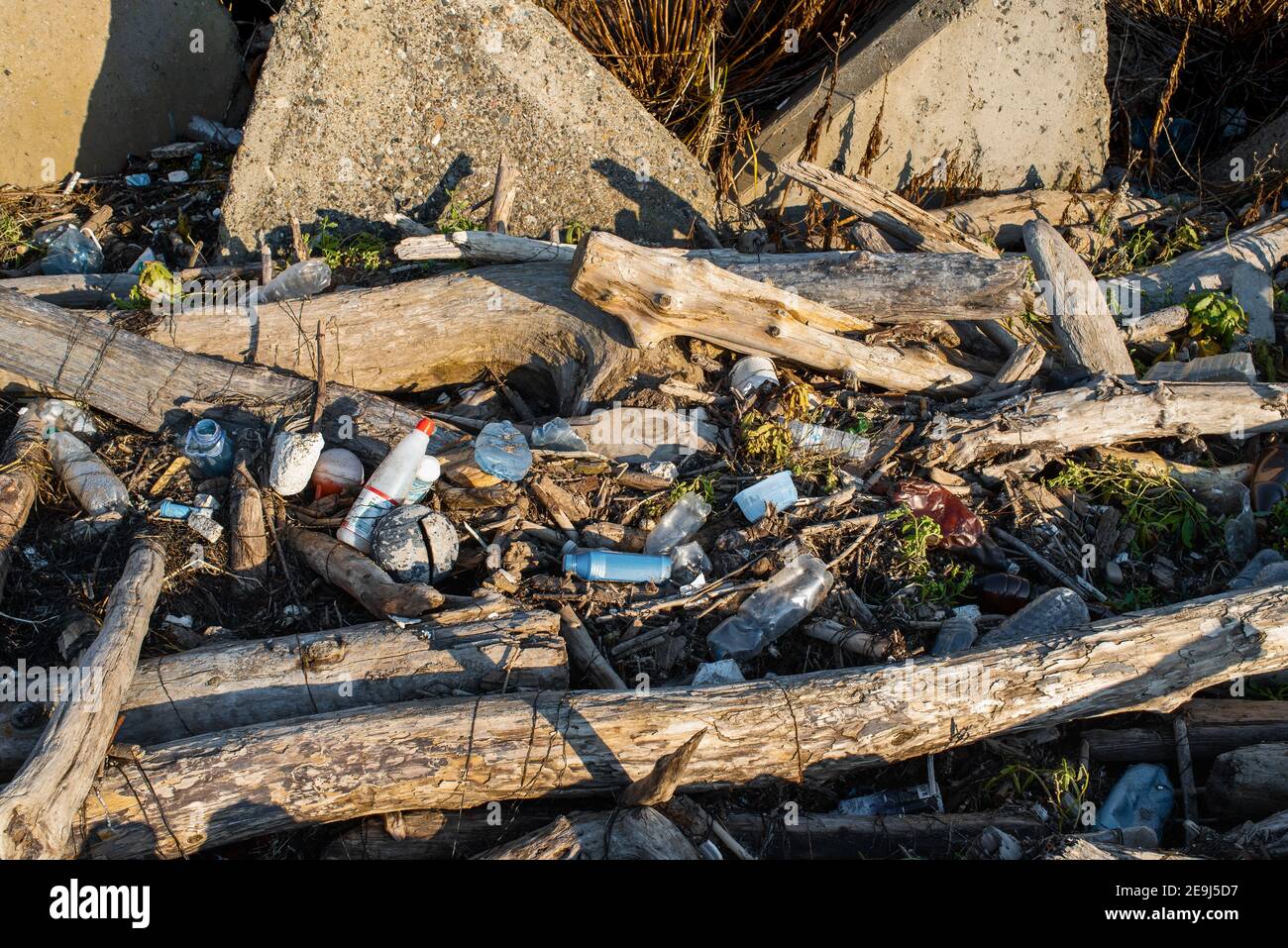 Plastikflaschen und Abfallmüll verschmutzen den Strand. Alte Bäume und Müll wuschen nach dem Sturm an Land. Verschmutzung durch Plastik. Stockfoto Plastikflaschen und Abfallmüll verschmutzen den Strand. Alte Bäume und Müll wuschen nach dem Sturm an Land. Verschmutzung durch Plastik. Stockfoto