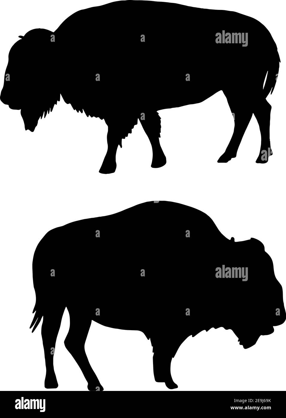 American Bison Silhouetten Stock Vektor