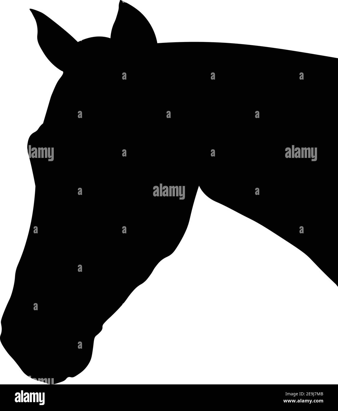 Pferd Kopf Profil Silhouette auf weißem Hintergrund Stock Vektor Pferd Kopf Profil Silhouette auf weißem Hintergrund Stock Vektor