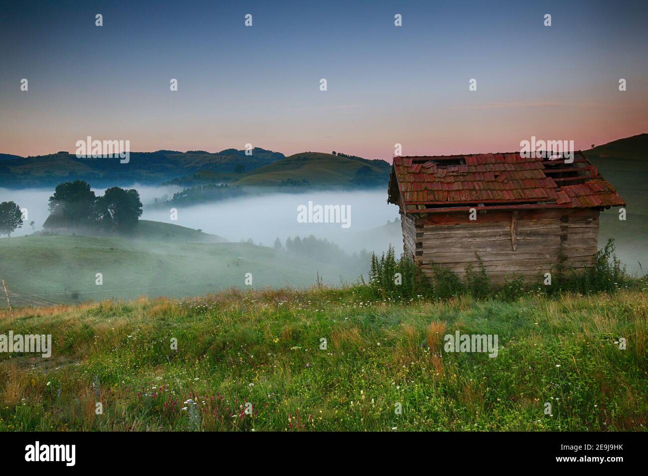 Ein fickiger Morgen in den Apuseni Bergen Stockfoto