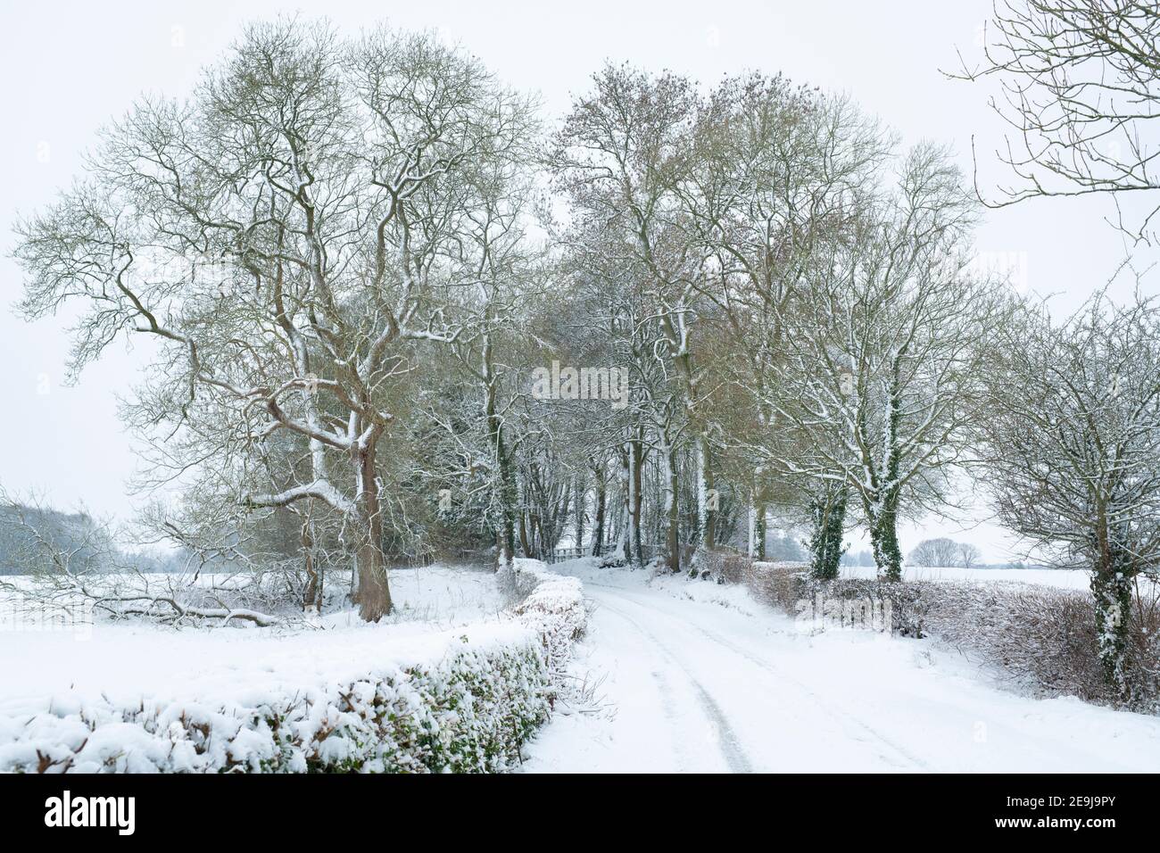 Cotswold Landstraße in der Nähe von Lower Slaughter im januar Schnee. Lower Slaughter, Cotswolds, Gloucestershire, England Stockfoto
