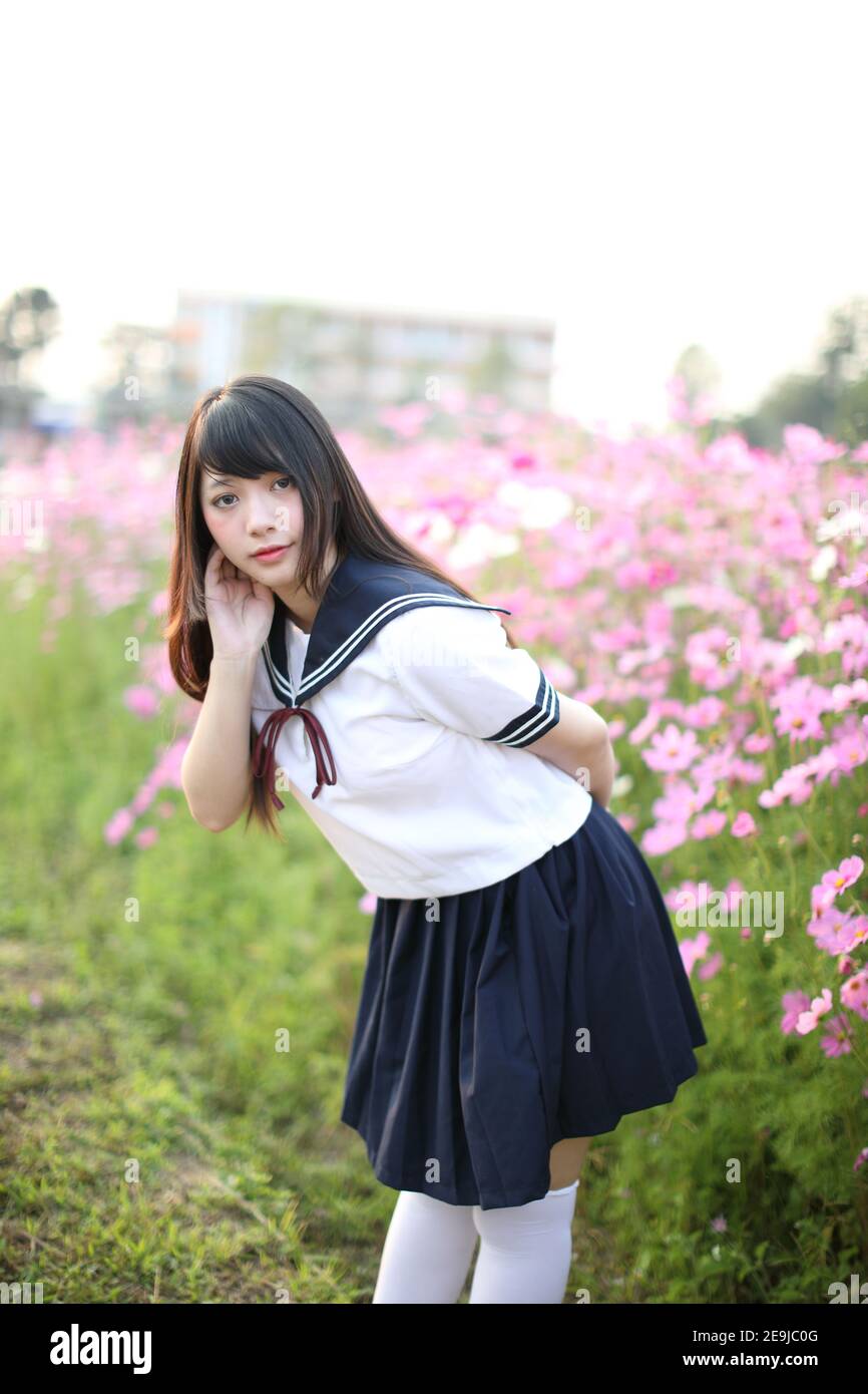 Porträt des japanischen Schulmädchen Uniform mit rosa Kosmos Blume Stockfoto