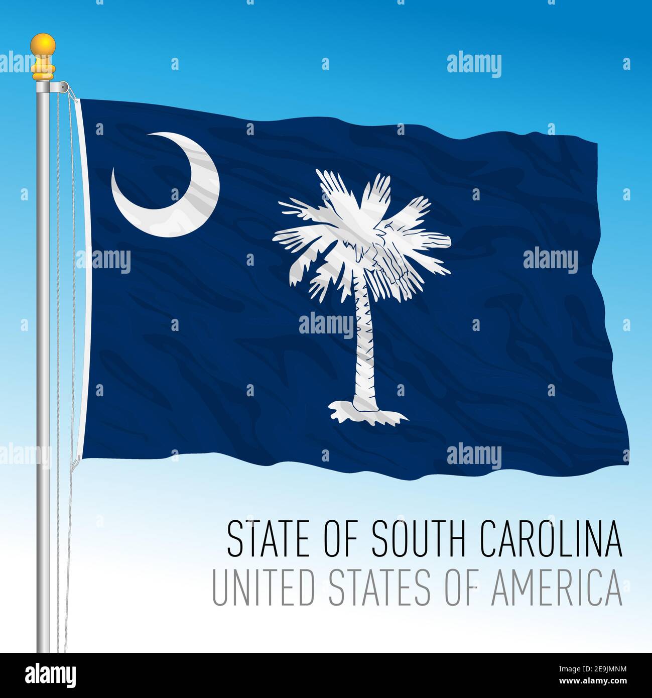 South Carolina Bundesstaaten Flagge, Vereinigte Staaten, Vektor-Illustration Stock Vektor