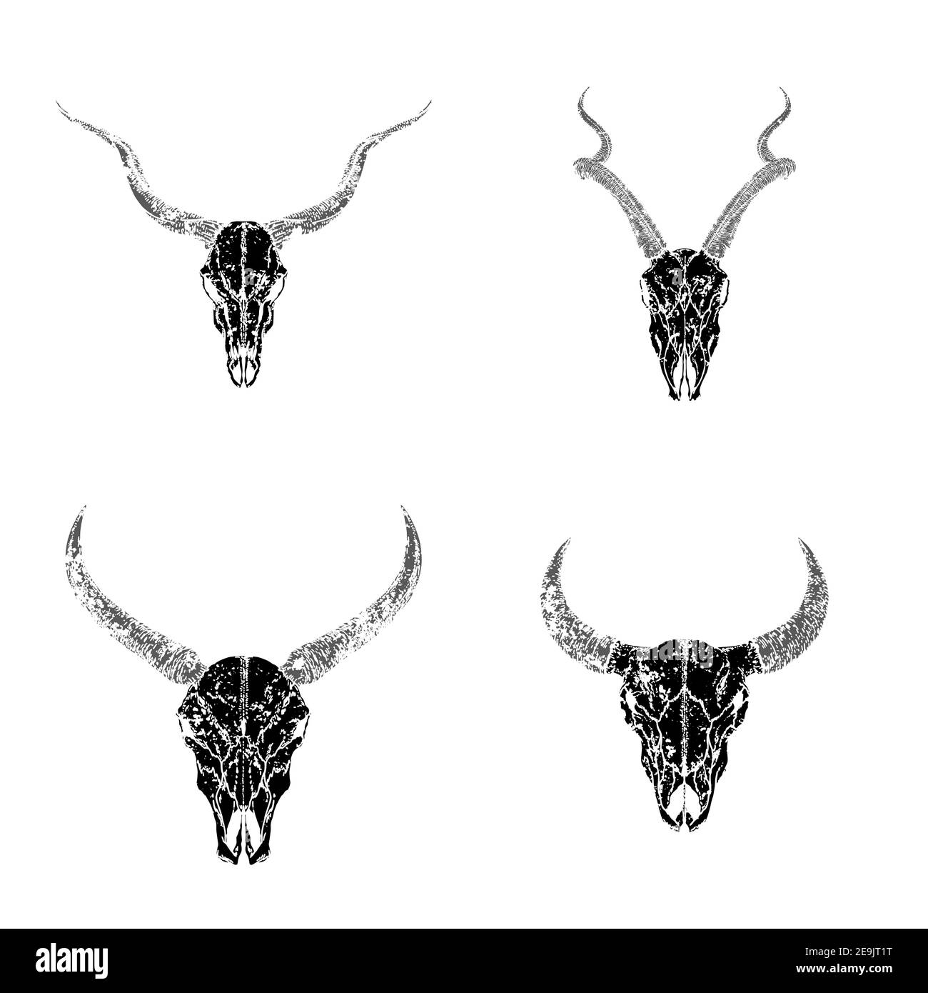Vektor-Set von handgezeichneten Schädeln von gehörnten Tieren: Antilopen, Stier und Wildbüffel auf weißem Hintergrund. Schwarze Silhouetten mit Grunge-Struktur. Für Jo Stock Vektor