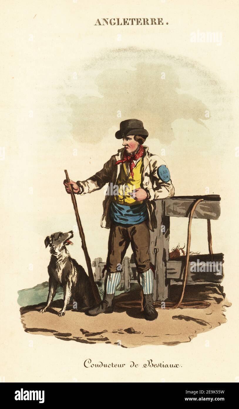 Lizenzierter Smithfield-Drover mit Hund, 1800s. Er trägt eine Lizenznummer auf einem Abzeichen auf seinem Ärmel. Drovers brachte Schafe und Rinder von Islington auf den Markt, London. Conducteur de Bestiaux. Handkolorierter Kupferstich nach einer Illustration von William Alexander aus J-B. Eyries’ L'Angleterre ou Costumes, Moeurs et Usages des Anglais, England: Costumes, Manners and Mores of the English, Librairie de Gide Fils, Paris, 1821. Jean-Baptiste Eyries (1767-1846) war ein französischer Geograph, Autor und Übersetzer. Stockfoto