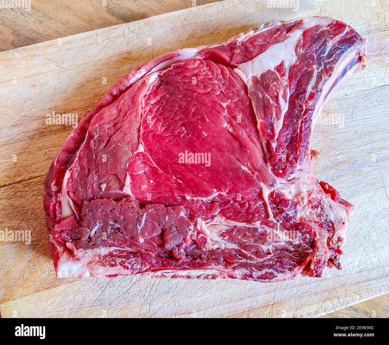 Rindersteak auf dem Knochen, gut gereift, bereit für Ihr Barbecue und Mittagessen, Florentiner Steak, Protein für Ihre Gesundheit Stockfoto