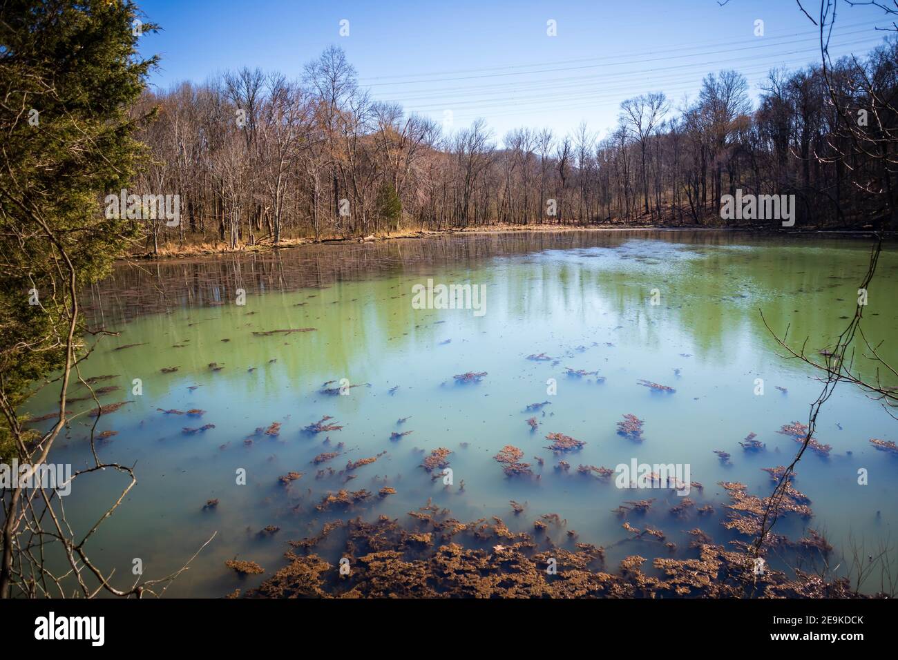 Radnor Lake Park, Tennessee Stockfoto