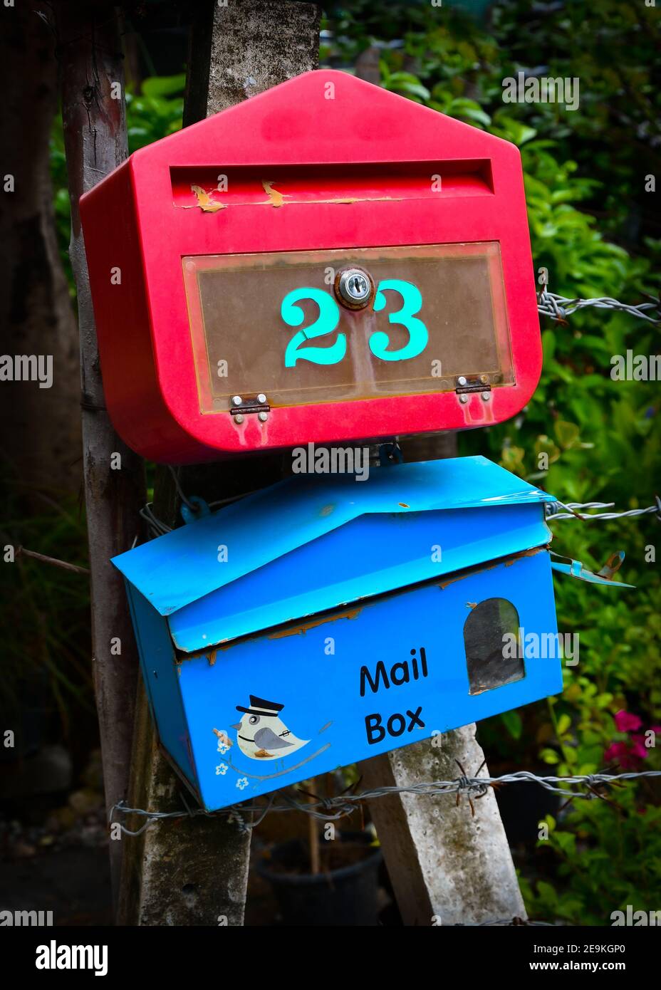 Alte rustikale rot und blau lackierte Metallpostfächer an einem krummen Betonpfosten befestigt, mit Stacheldraht Zäune. Stockfoto