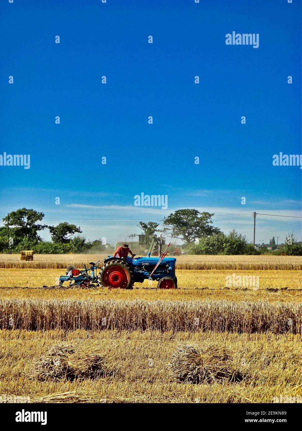 Landwirtschaft 3 Stockfoto