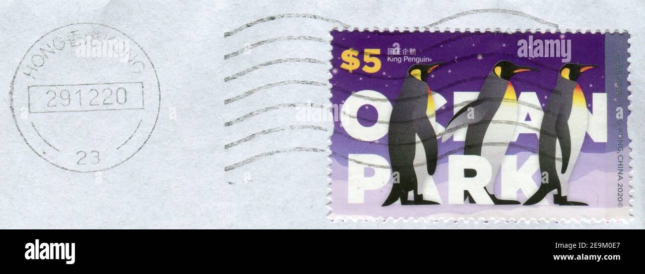 GOMEL, WEISSRUSSLAND, 29. DEZEMBER 2020, Briefmarke gedruckt in HONGKONG, China zeigt das Bild des Königspinguins, um 2020. Stockfoto