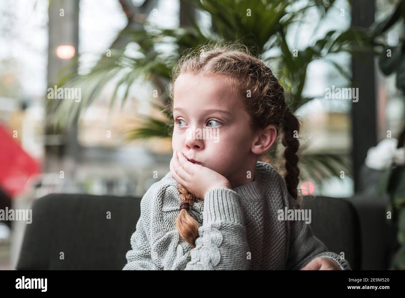Hübsches junges Mädchen mit Zöpfen grau wollig Pullover saß in Moderne Schulumgebung mit Blick aus dem Fenster natürliches Licht Tag träumen Gelangweilter Kopf in den Händen Stockfoto