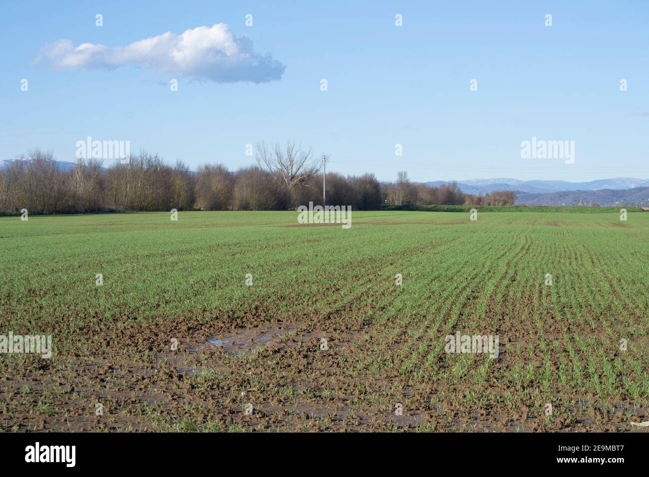Panoramablick auf eine landwirtschaftliche Fläche von ​​Tuscany mit Bergen Im Hintergrund Stockfoto
