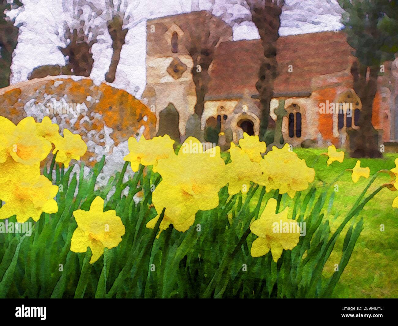 Ein Aquarell-Stil aus frühlingshaften Narzissen, die vor der St Marys Church in Kintbury Berkshire blühen. Stockfoto
