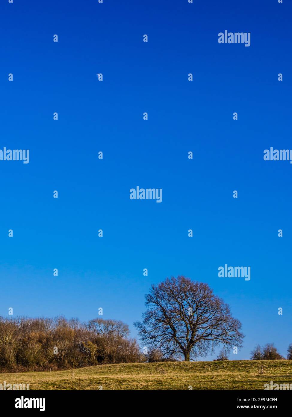 Der tagsüber sichtbare Mond über einem Feld in der Nähe von Kintbury, Berkshire, gegen einen blauen Himmel. Stockfoto