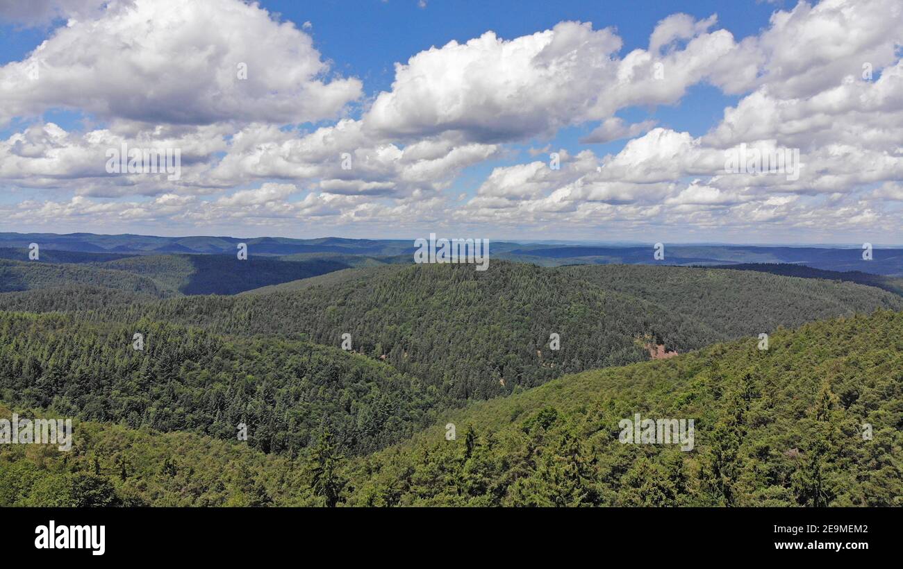 Panorama des Pfälzerwaldes, größte zusammenhängende Waldfläche in Deutschland Stockfoto