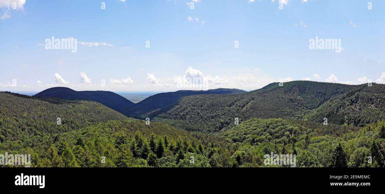 Panorama des Pfälzerwaldes, größte zusammenhängende Waldfläche in Deutschland Stockfoto